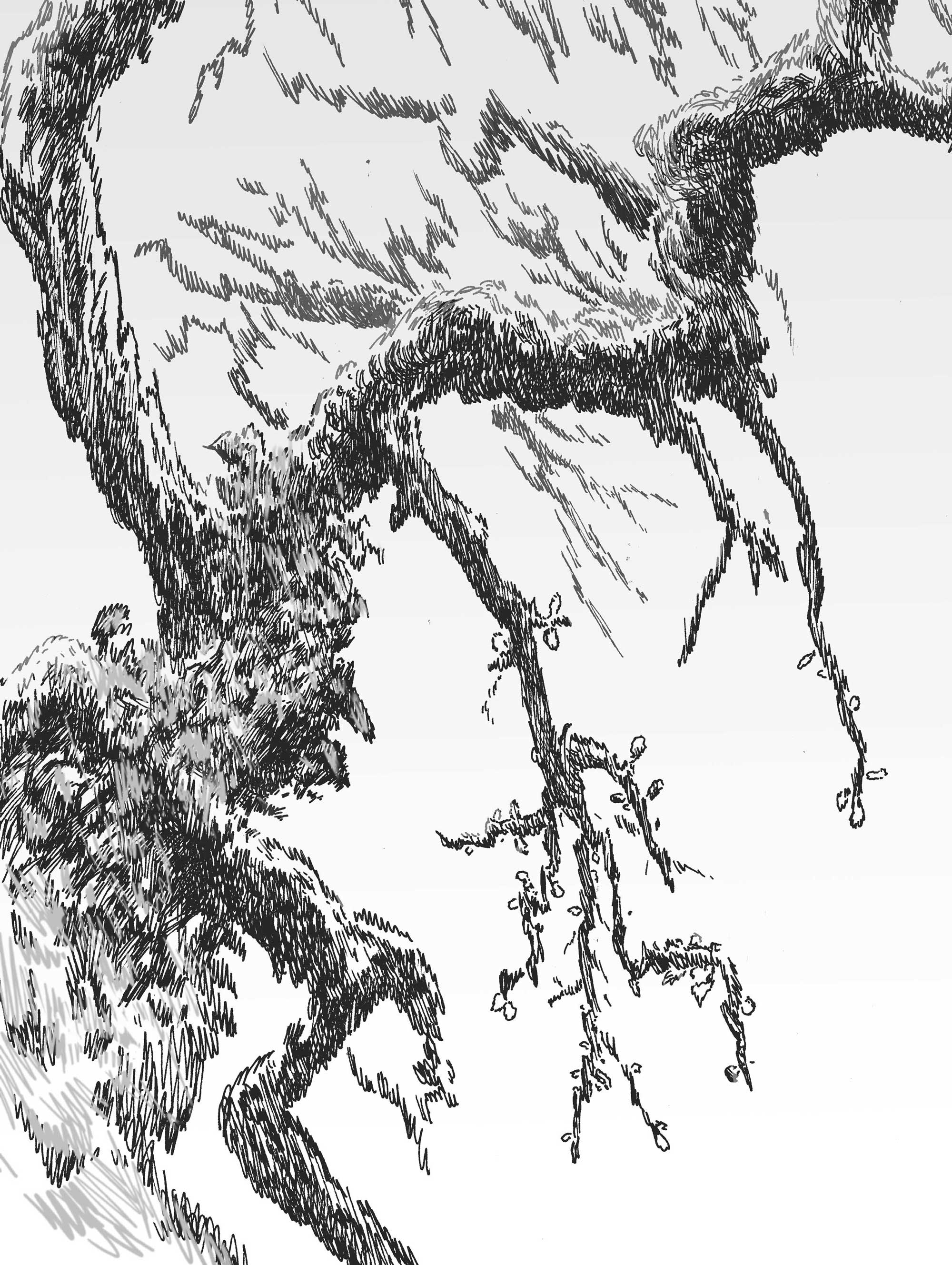 description of image