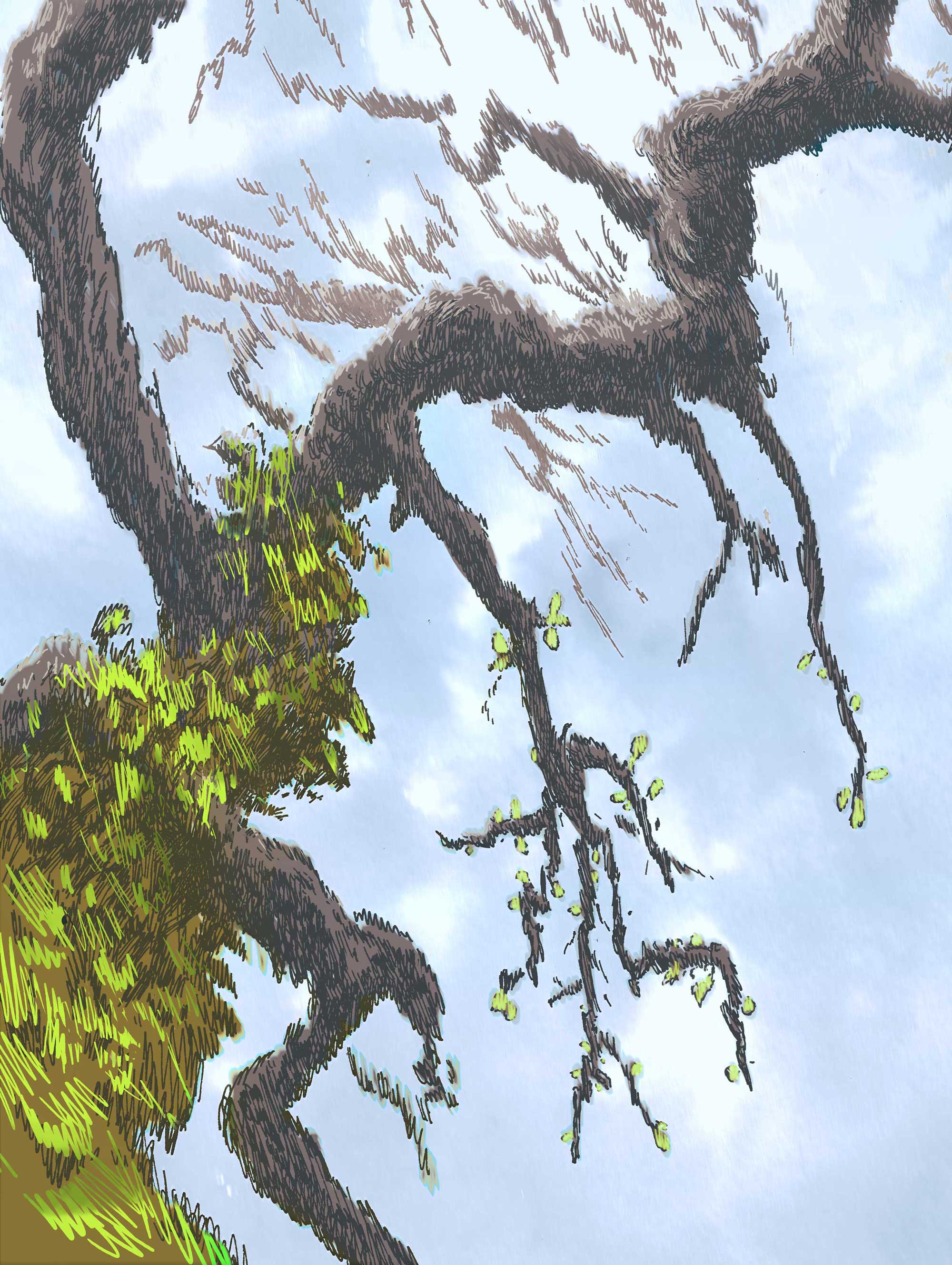 description of image